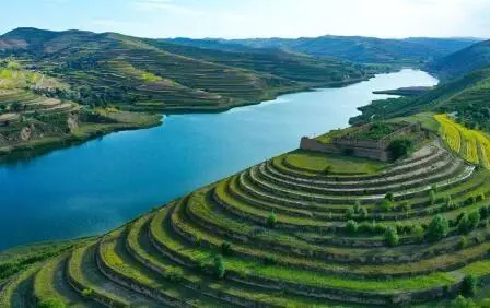 重點行業VOCs治理“一企一策”！寧夏空氣質量持續改善行動實施方案公開征求意見